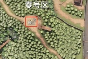 《以零号任务游戏中的救救鸭道具玩法详解》