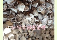 绝地求生中头饰鹿角如何获得？获取鹿角的途径有哪些？