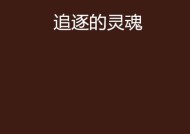 《灵魂追逐》通关攻略（以灵魂追逐的方式）