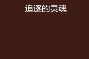 《灵魂追逐》通关攻略（以灵魂追逐的方式）