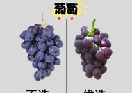 水果神兵的选择标准是什么？选择时应注意哪些因素？