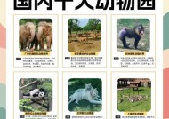 探秘动物园之星栖息地动物的吸引力（从游戏中了解动物园之星栖息地动物的特点与魅力）