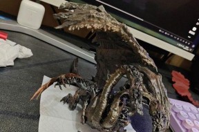 魔兽世界龙王之鳞的购买地点有哪些？购买龙王之鳞需要什么条件？