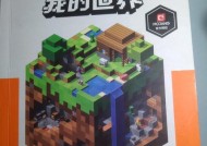 我的世界蚂蚁世界玩法指南是什么？