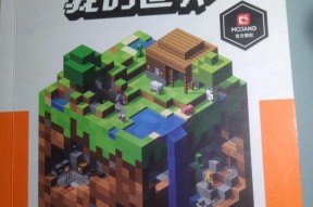 我的世界蚂蚁世界玩法指南是什么？