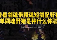剑魂打魂野猪的策略是什么？如何高效击杀魂野猪？
