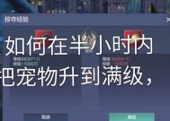 问道宠物未满110级如何进行飞升？