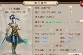 问道队伍操作的设置方法是什么？