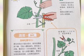 龙之谷中种植蔬菜的技巧？
