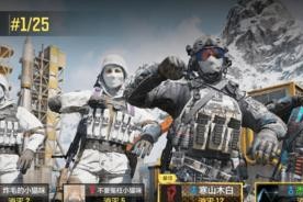 《使命召唤手游飞机使用攻略》（如何驾驶飞机在战场中取得优势）