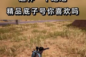 绝地求生船宝宝使用方法？如何有效利用船宝宝？