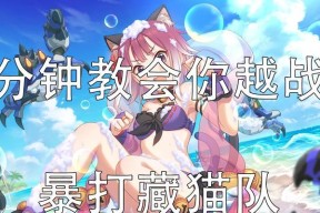 《公主连结》玩家必备（如何打藏猫队）