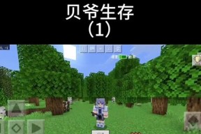 我的世界中花丛放置的正确位置在哪里？