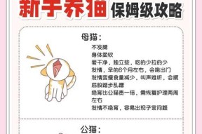 猫咪计划新手入门攻略（带你一步步进入猫咪计划游戏）