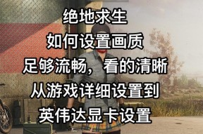 绝地求生如何在不使用显卡的情况下设置？设置后游戏体验如何？