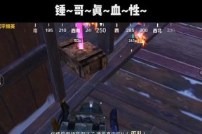 绝地求生雨晨发生了什么？