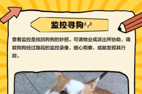 宠物被偷后如何找回？防止宠物被盗的措施有哪些？