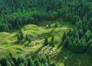 我的世界马圈怎么做？马圈的建造步骤是什么？