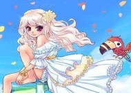 彩虹岛普通收费模式是什么？如何理解收费机制？