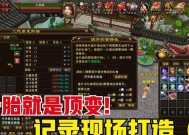 天龙八部熊猫获取方法有哪些？如何快速获得熊猫？