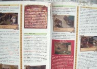 《天地劫》游戏攻略（探秘高昌古城的秘密）