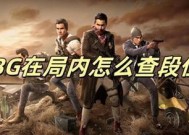 绝地求生队友段位如何识别？