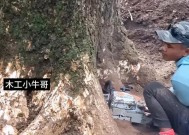 绝地求生中挖坑砍树的技巧是什么？