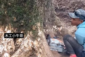 绝地求生中挖坑砍树的技巧是什么？