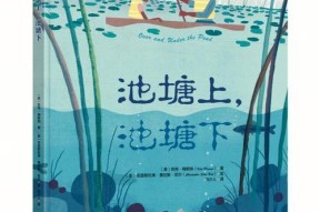 探秘以梦之旅4（揭开游戏中放置石块的秘密）
