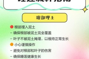 在Minecraft中繁殖睡莲的方法是什么？