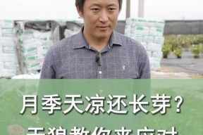 黑天狼战斗攻略是什么？如何有效应对？