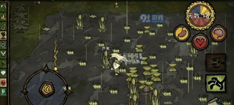 饥荒（用游戏技巧轻松获得物资）  第3张