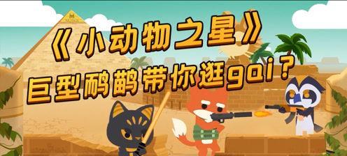 小动物之星实验袍如何获得？教学过程中有哪些常见问题？  第3张