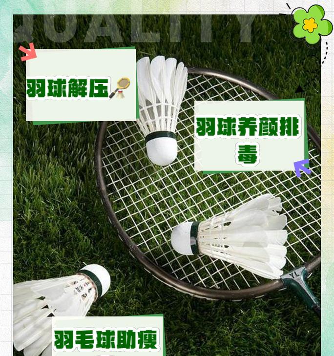 地上的羽毛如何收集？收集羽毛有什么用途？  第1张