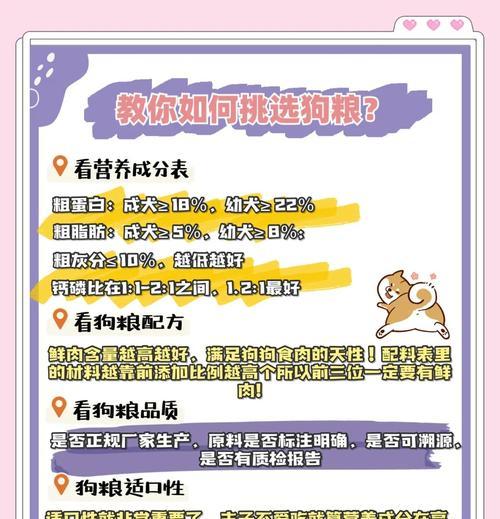 地下城喂养狗粮怎么处理？狗粮使用有哪些技巧？  第2张