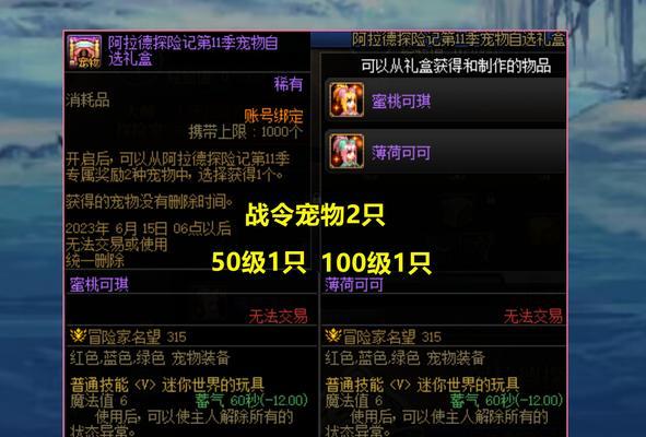 DNF喂养宠物时应选择哪些道具？  第3张