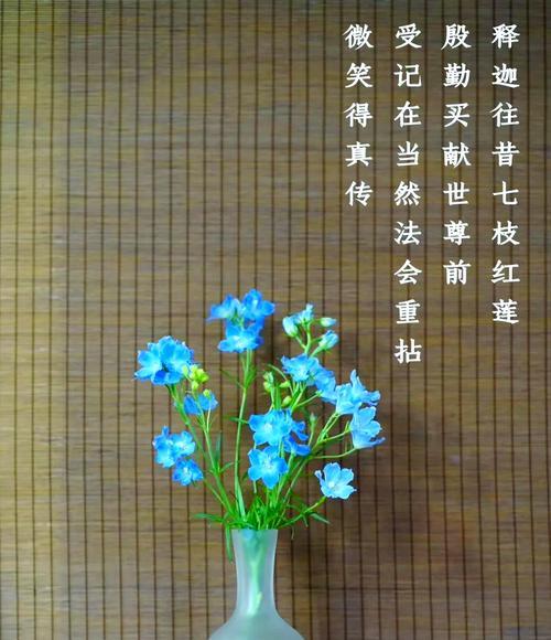 完美世界药师如何从1级升到2级？升2级药师的步骤是什么？  第3张