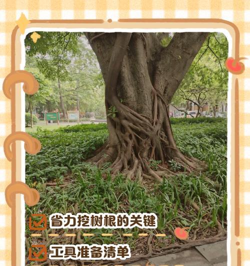 树根法术升级条件是什么？  第3张