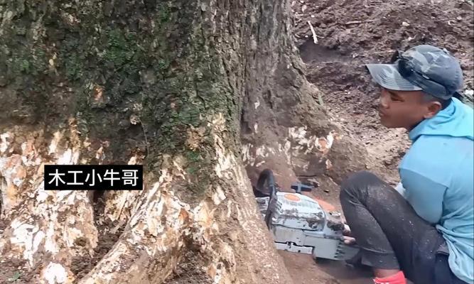 绝地求生中挖坑砍树的技巧是什么？  第1张