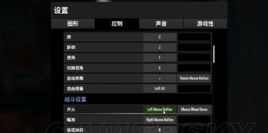 绝地求生中快速重新上线的设置方法是什么？  第2张