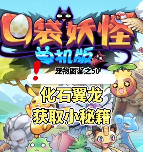 口袋妖怪游戏的进入方法是什么？  第2张