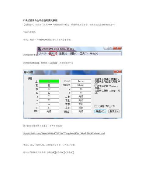口袋妖怪游戏中金手指的使用方法是什么？  第3张