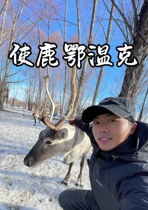 摇摆驯鹿获取途径有哪些？  第3张