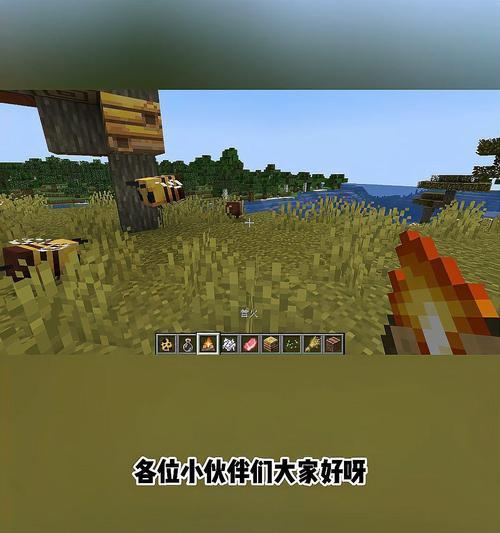 我的世界点燃蜂巢的正确方法是什么？  第3张