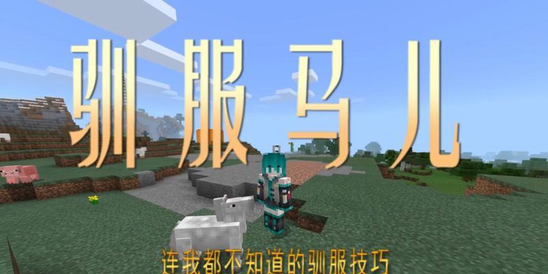 我的世界中的马如何带走？需要什么条件？  第2张