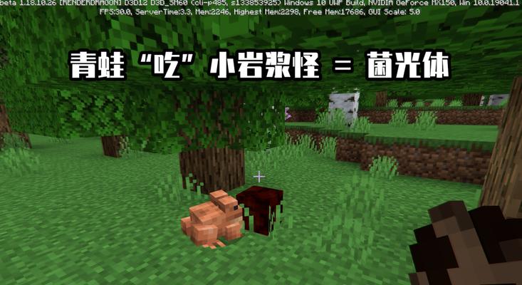 我的世界蝌蚪抓取方法是什么？  第3张
