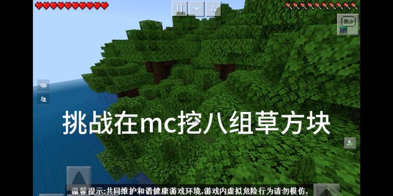 我的世界草堆世界怎么做？这个创意地图有什么特色？  第2张