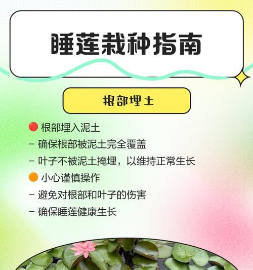 在Minecraft中繁殖睡莲的方法是什么？  第1张