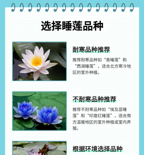 在Minecraft中繁殖睡莲的方法是什么？  第2张