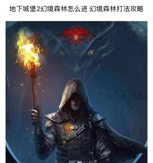 《掌握地下城堡高级全攻略》（以游戏为主）  第3张